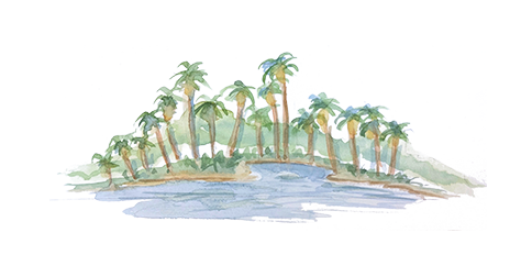 playadecarmen